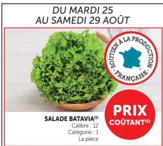 Salade Batavia
