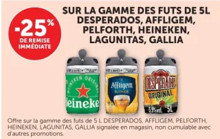 Fûts de 5L Desperados, Affligem, Pelforth, Heineken, Lagunitas, Gallia