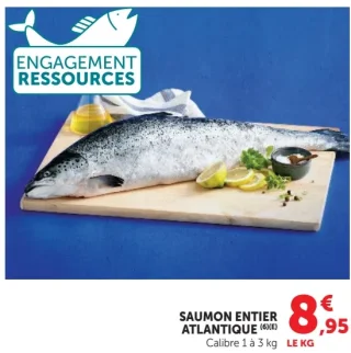 Saumon entier Atlantique