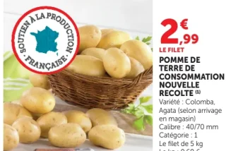 Pomme de terre de consommation nouvelle récolte