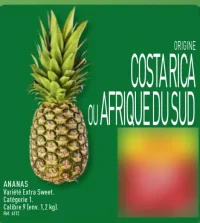 ANANAS Variété Extra Sweet