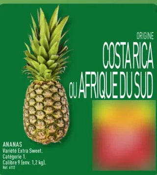 ANANAS Variété Extra Sweet