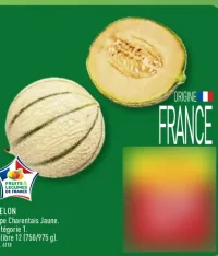 MELON Type Charentais Jaune