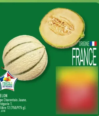 MELON Type Charentais Jaune