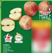 POMMES Variété Gala