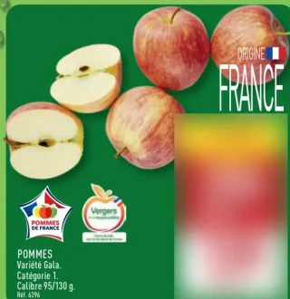 POMMES Variété Gala