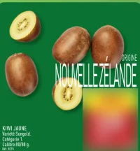 KIWI JAUNE Variété Sungold