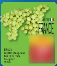 Raisin sans pépins Arra 30 ou Ivory