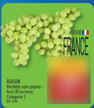 Raisin sans pépins Arra 30 ou Ivory