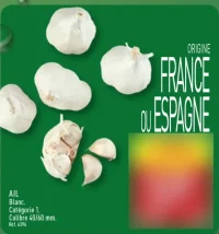 Ail Blanc