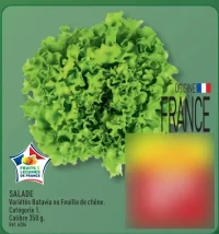 Salade