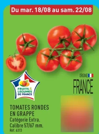 Tomates rondes en grappe