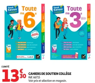 Cahiers de soutien collège