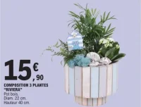 Composition 3 plantes "Riviera"