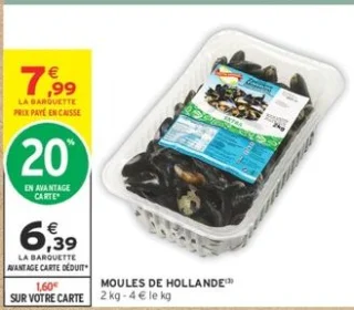 Moules de Hollande