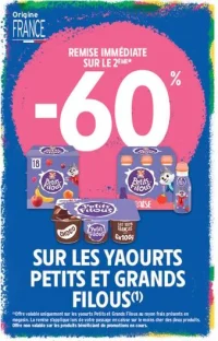 Yaourts Petits et Grands Filous
