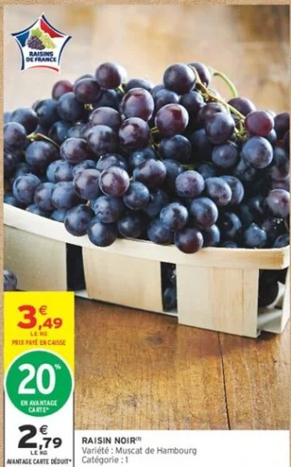 Raisin noir Muscat de Hambourg