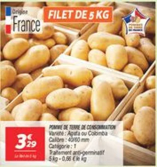Pomme de terre de consommation 