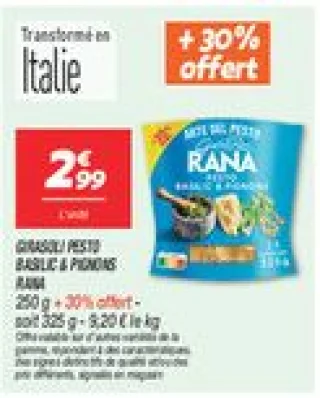Girasoli pesto basilic & pignons 