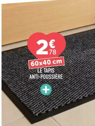 Le tapis anti-poussière 60x40 cm