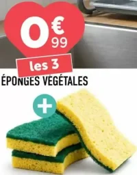 Les 3 éponges végétales