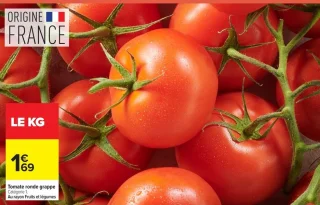 Tomate ronde grappe