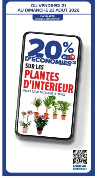 Plantes d'intérieur