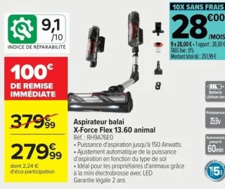 Aspirateur balai Rowenta X-Force Flex 13.60 animal