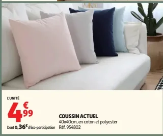 Coussin Actuel