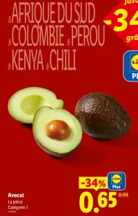 Avocat