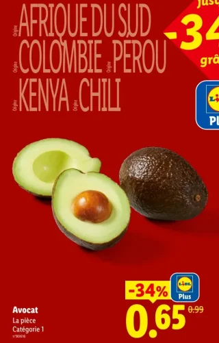 Avocat