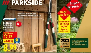 Taille-haies télescopique Parkside