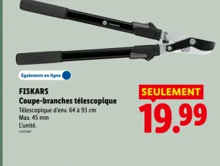 FISKARS Coupe-branches télescopique