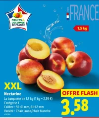 XXL Nectarine