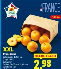 XXL Prune jaune