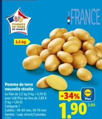 Pomme de terre nouvelle récolte Lady christl/Colomba