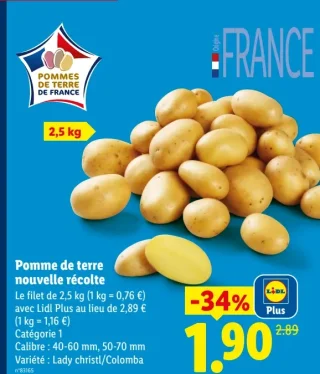 Pomme de terre nouvelle récolte Lady christl/Colomba