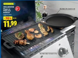 GRILLMEISTER Plaque ou Poêle pour barbecue