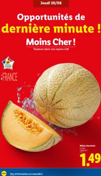 Melon charentais