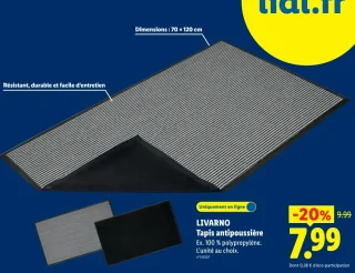 LIVARNO Tapis antipoussière