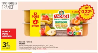 Desserts Fruitiers ANDROS