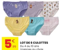 Lot de 6 culottes Licences au choix