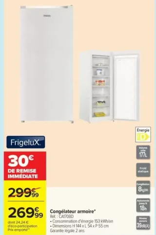 Congélateur armoire Frigelux CA170BD