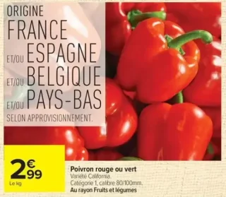 Poivron rouge ou vert