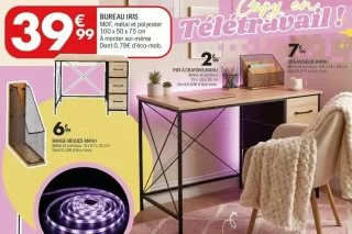 Bureau Iris