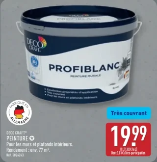DECO CRAFT Peinture Profiblanc