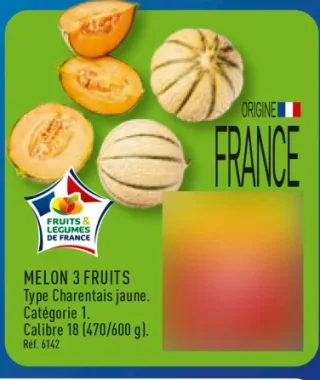 Melon 3 Fruits