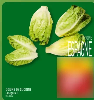 Cœurs de sucrine