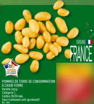Pommes de terre de consommation à chair ferme