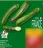 Promo Courgettes